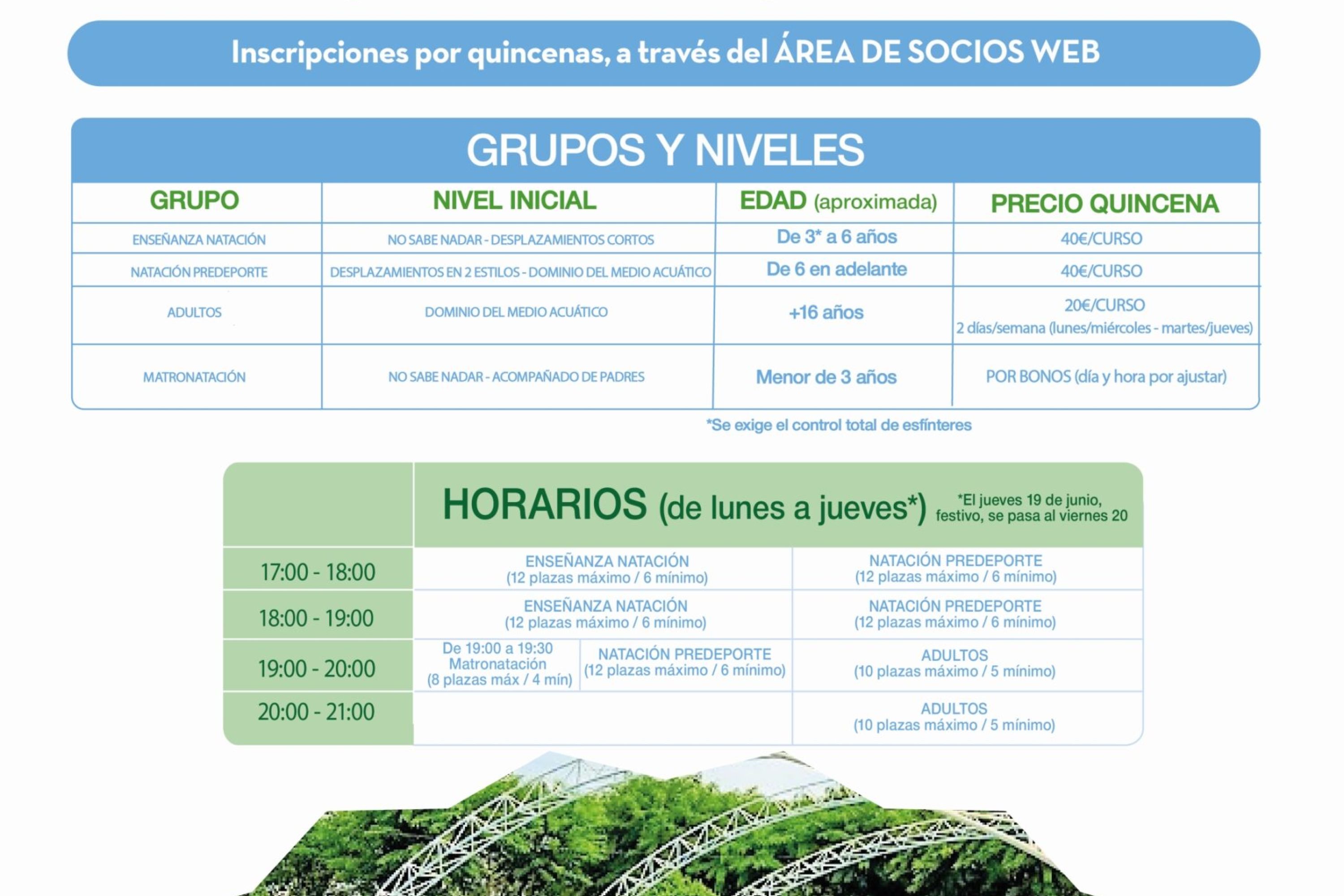 Cursillos de verano de natación