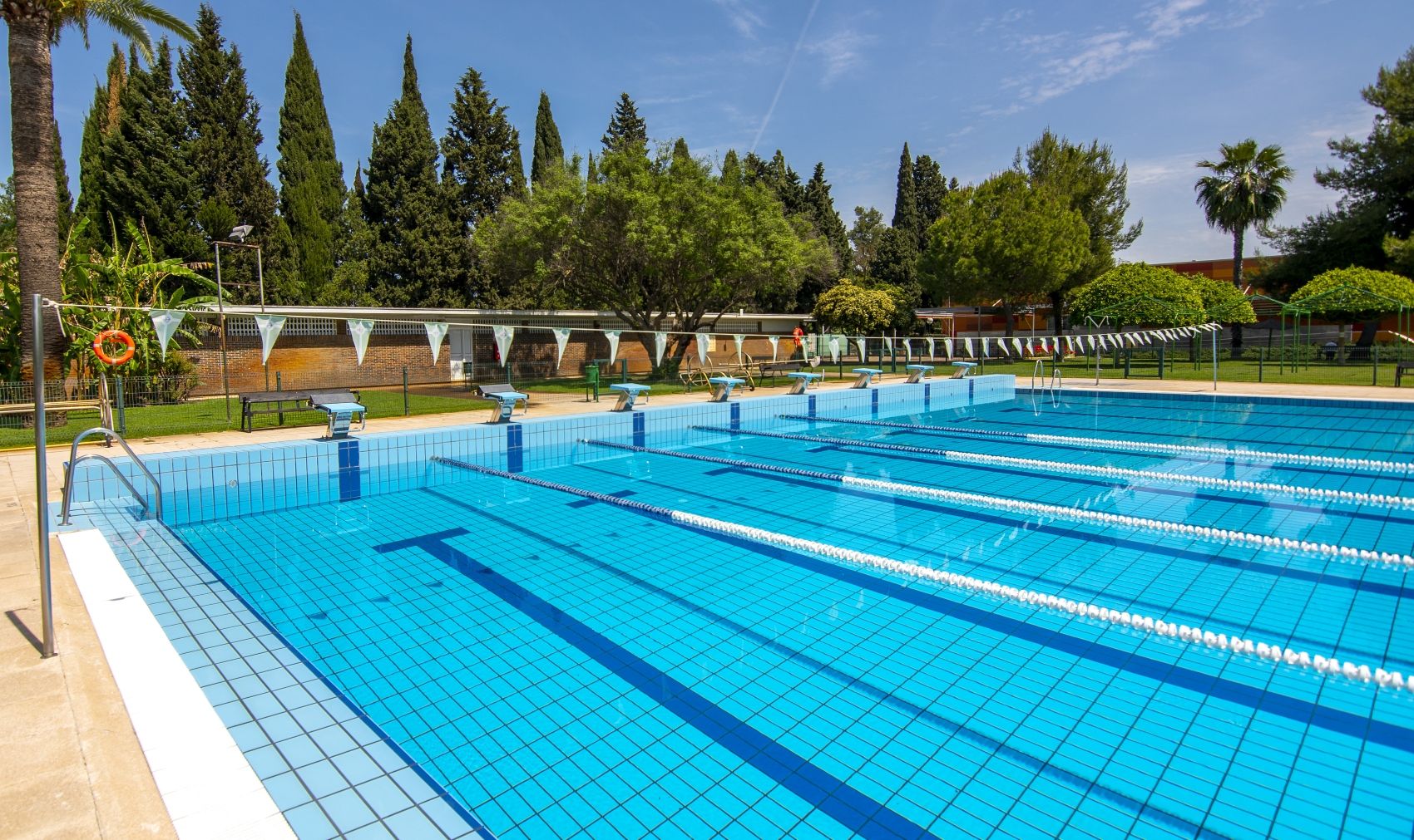 Disponibilidad de la piscina olímpica del Club Náutico