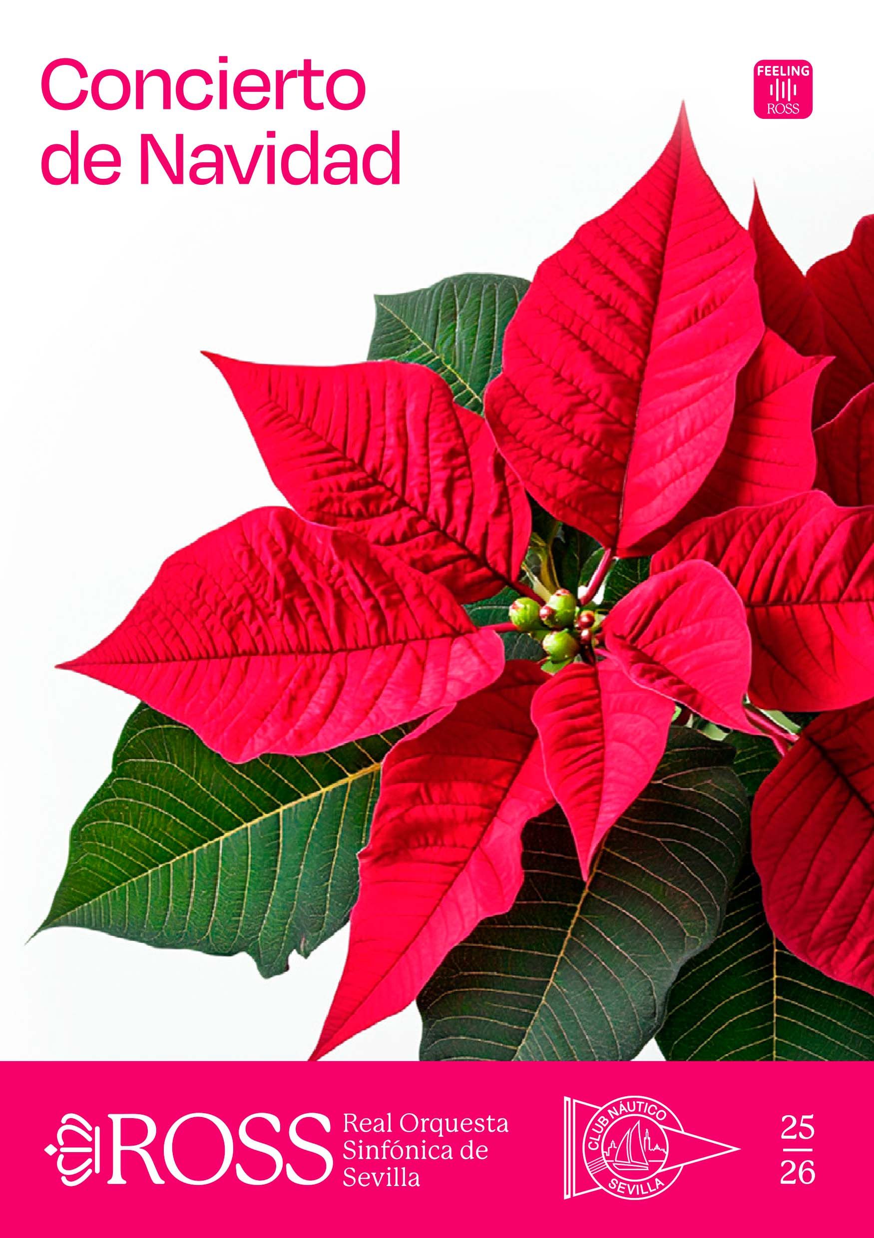 Concierto de Navidad de la Real Orquesta Sinfónica de Sevilla