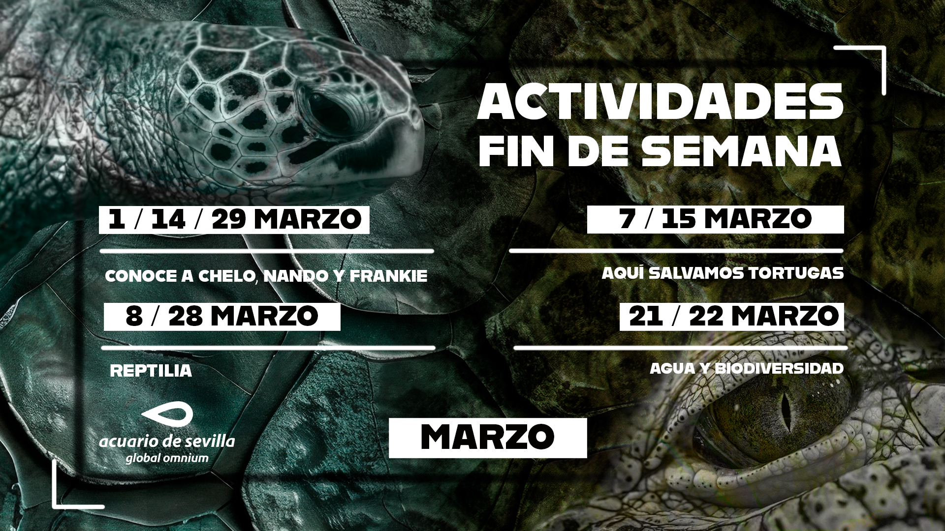 Programación del Acuario de Sevilla