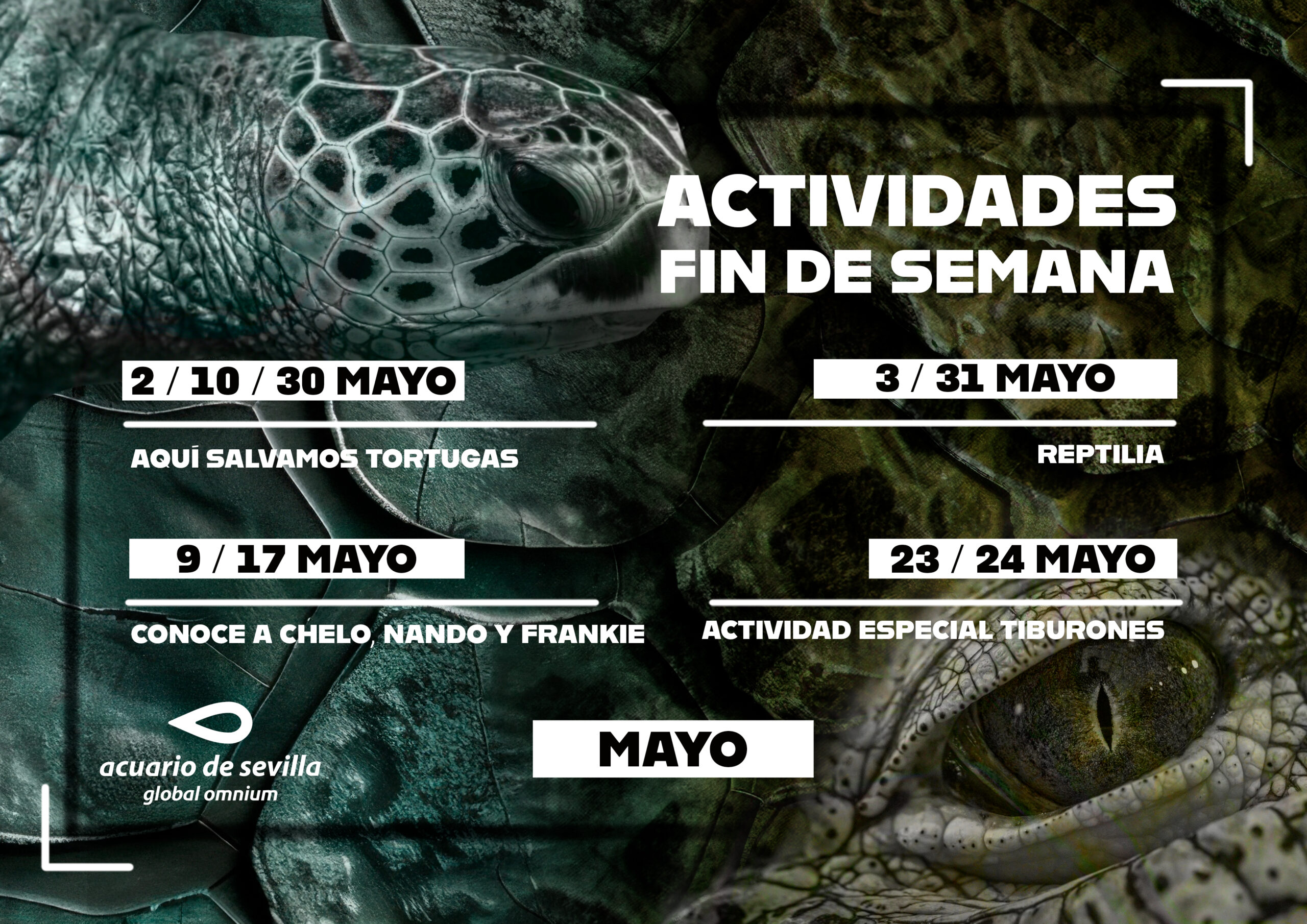 Programación del Acuario de Sevilla