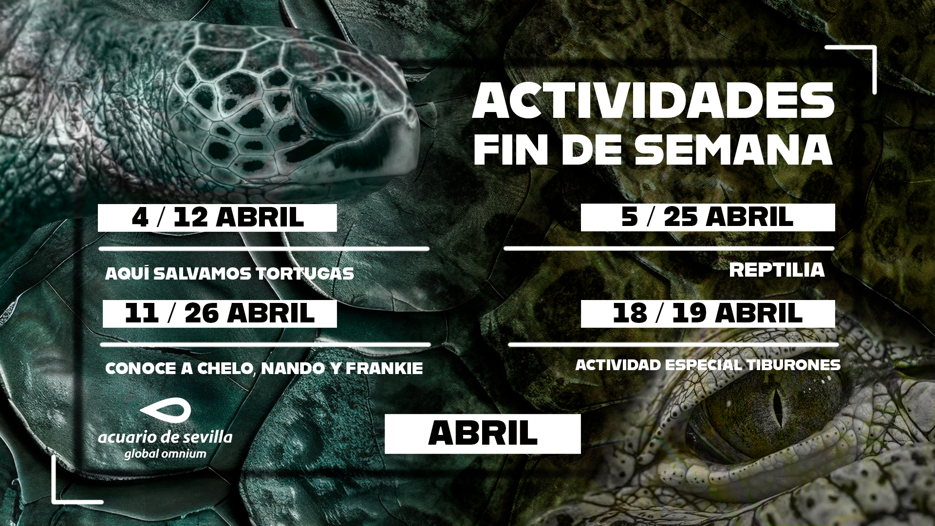 Programación del Acuario de Sevilla