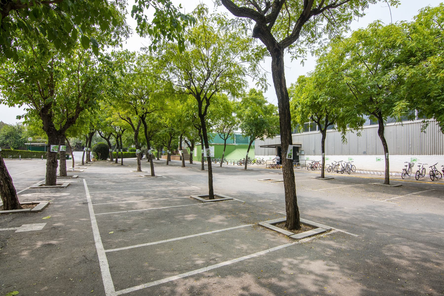 AVISO / Prohibido el acceso de vehículos durante el fin de semana