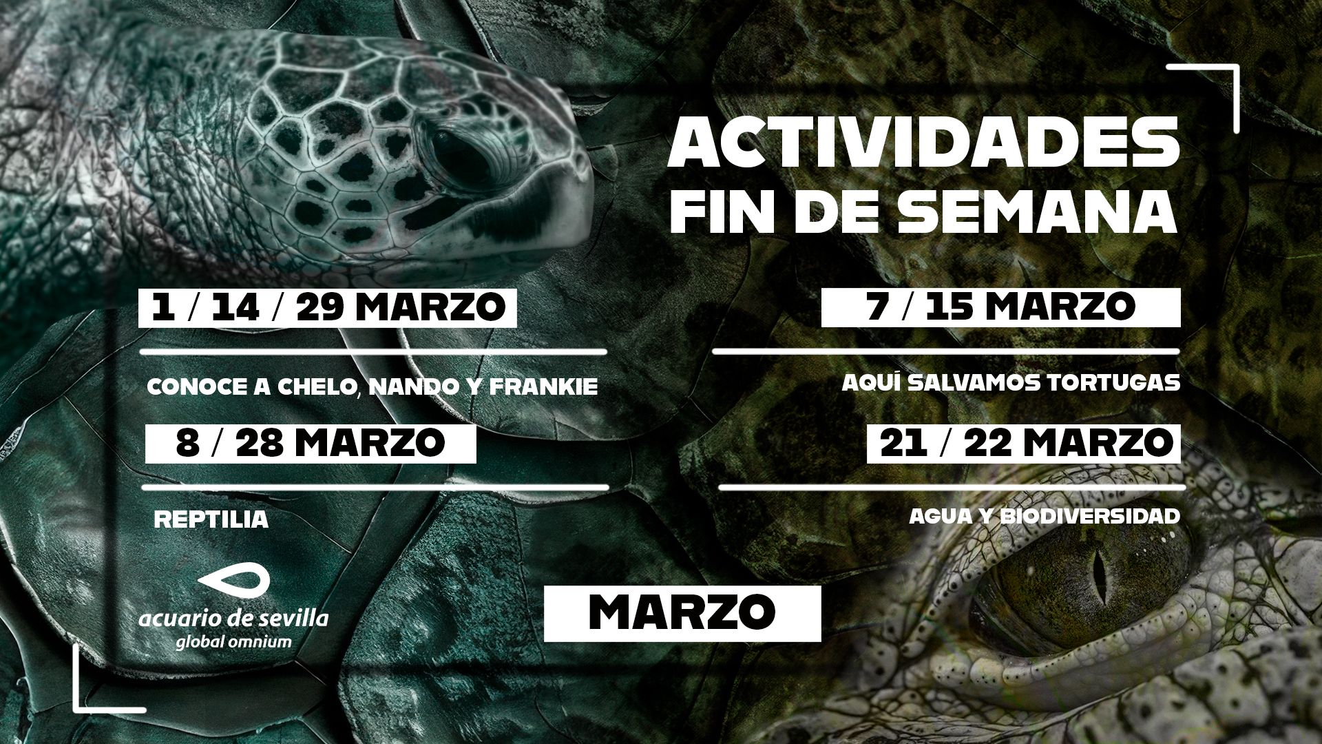 Programación del Acuario de Sevilla