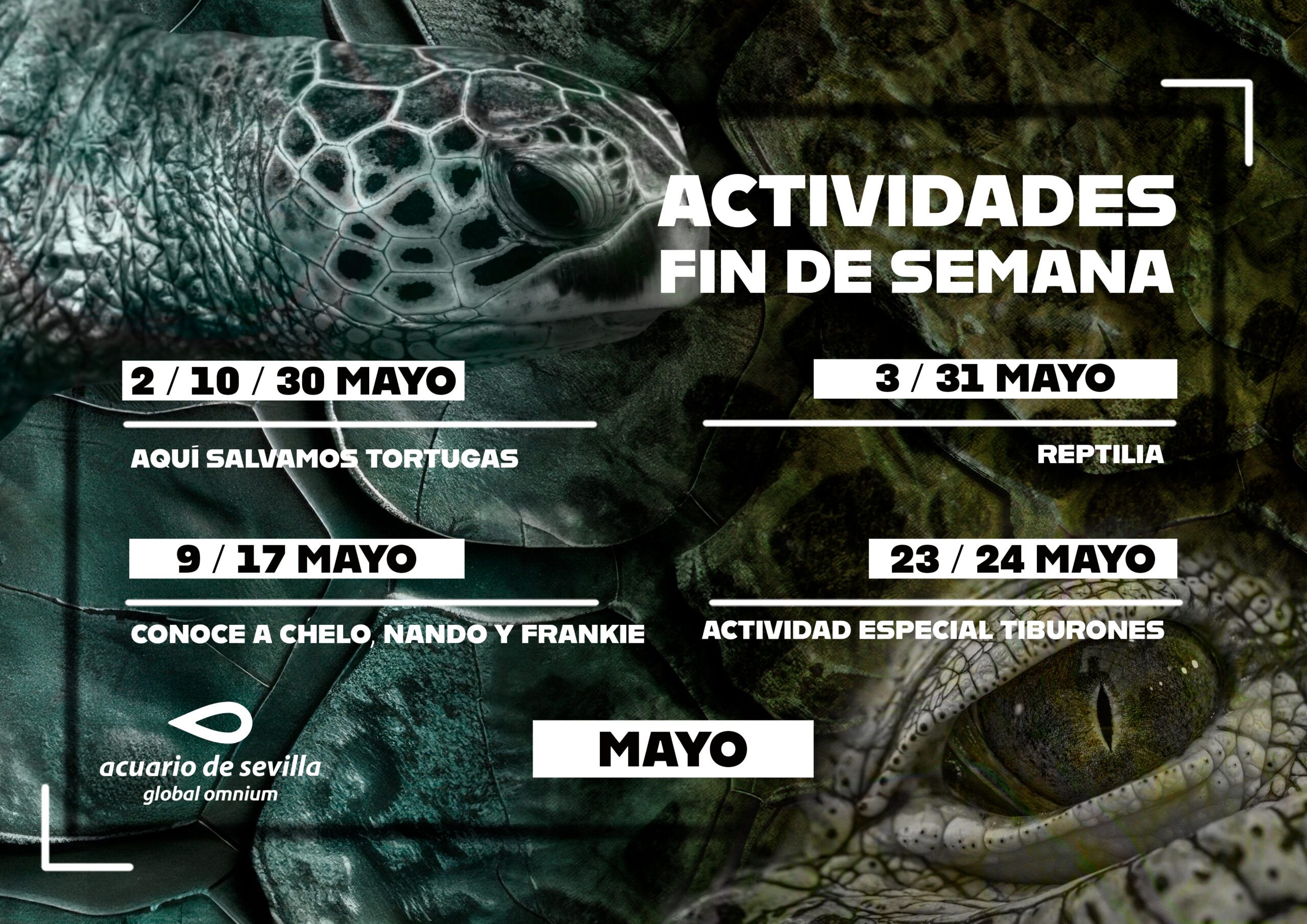 Programación del Acuario de Sevilla